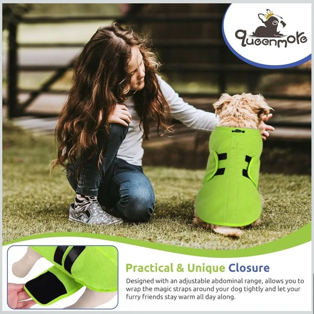 Neon Green Dog Jacket